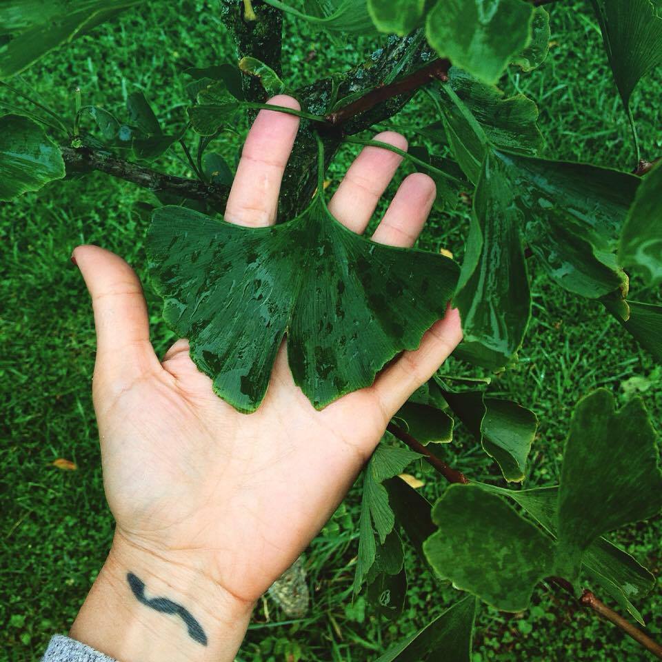 14555944_10154215064934177_2029914280_n