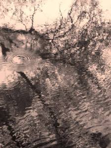 17965169_10154797565764177_1415188924_n