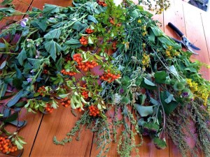 20814198_10155179659764177_579901925_n másolata