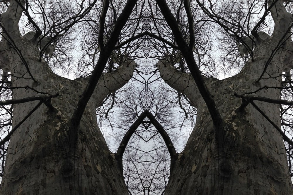 imageedit_4_6290027387